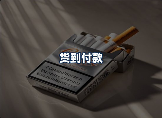 专业团队办公环境